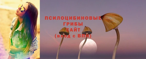 соль курить ск Абаза